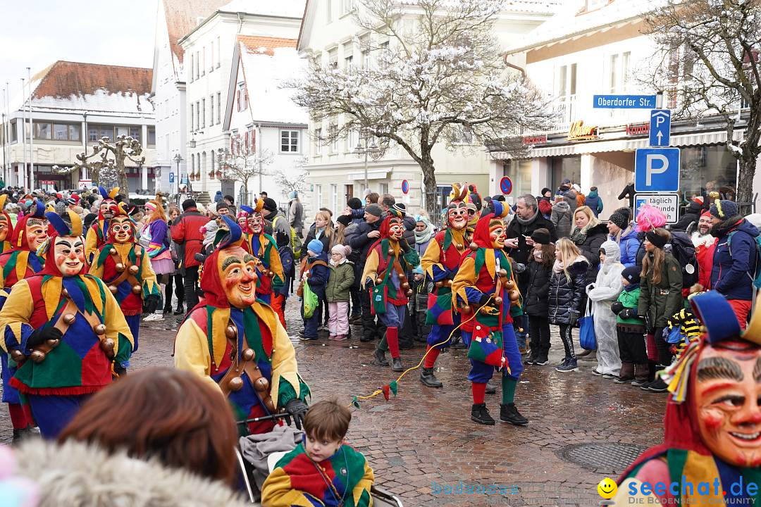 Narrenumzug: Langenargen am Bodensee, 22.01.2023