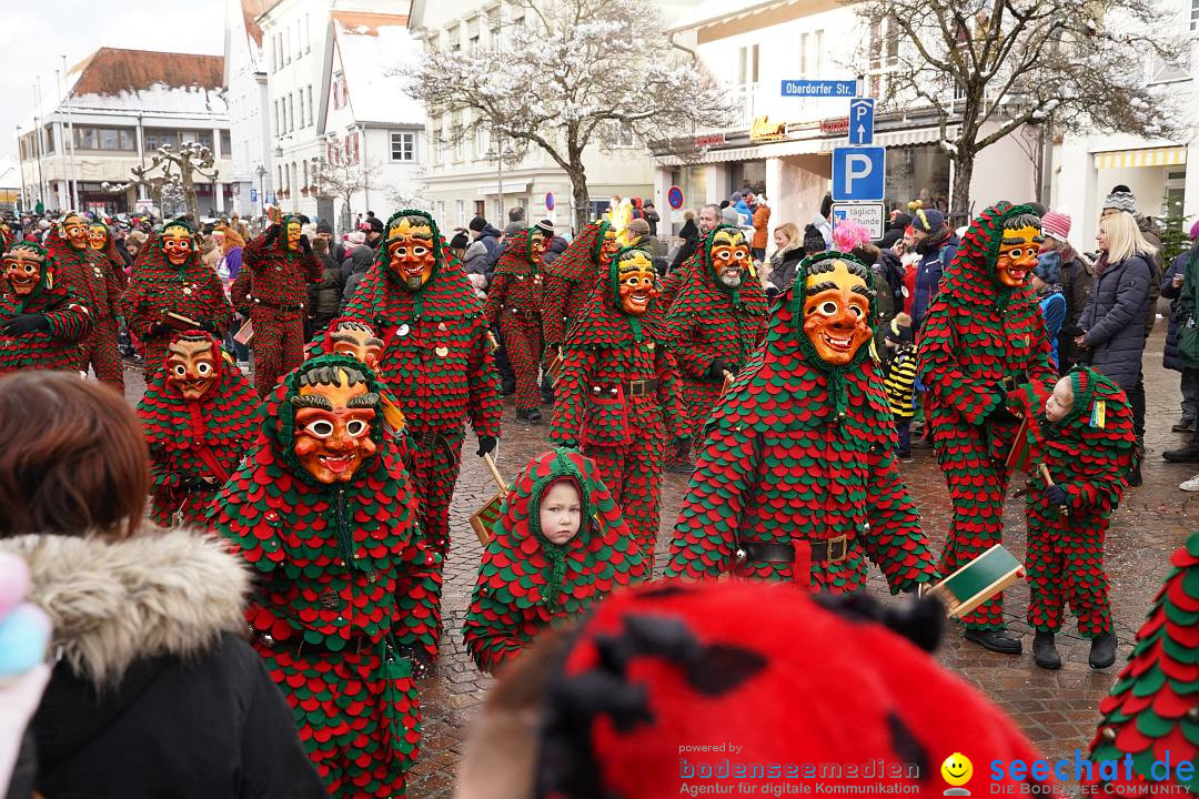 Narrenumzug: Langenargen am Bodensee, 22.01.2023