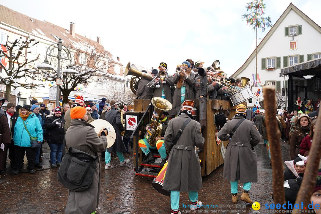 Narrenumzug: Langenargen am Bodensee, 22.01.2023