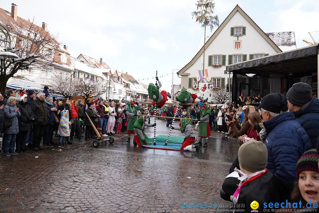 Narrenumzug: Langenargen am Bodensee, 22.01.2023