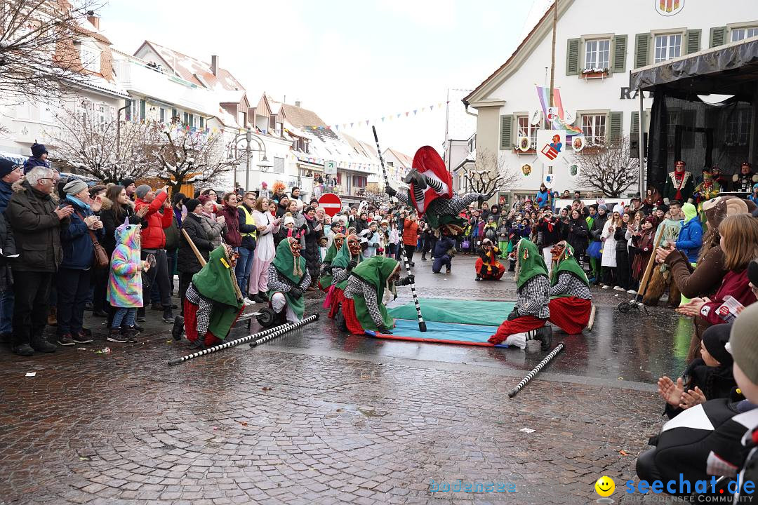 Narrenumzug: Langenargen am Bodensee, 22.01.2023