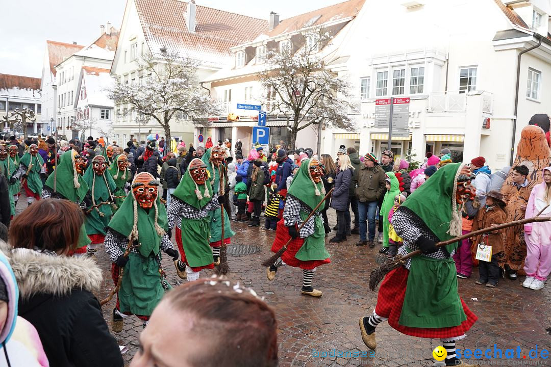 Narrenumzug: Langenargen am Bodensee, 22.01.2023