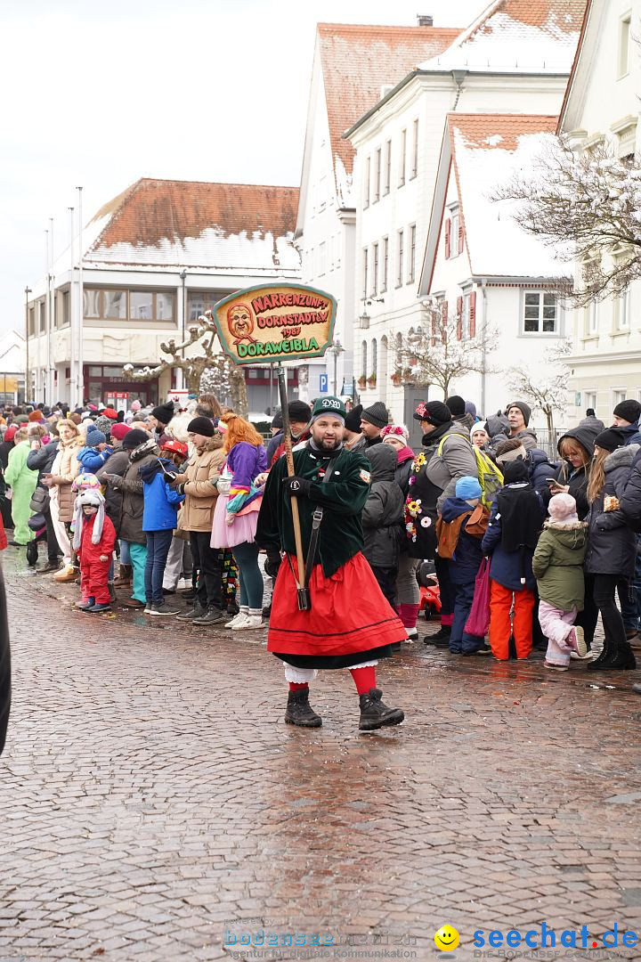 Narrenumzug: Langenargen am Bodensee, 22.01.2023