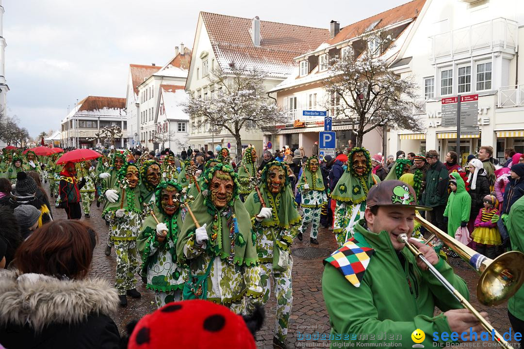 Narrenumzug: Langenargen am Bodensee, 22.01.2023