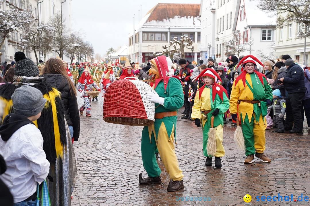 Narrenumzug: Langenargen am Bodensee, 22.01.2023