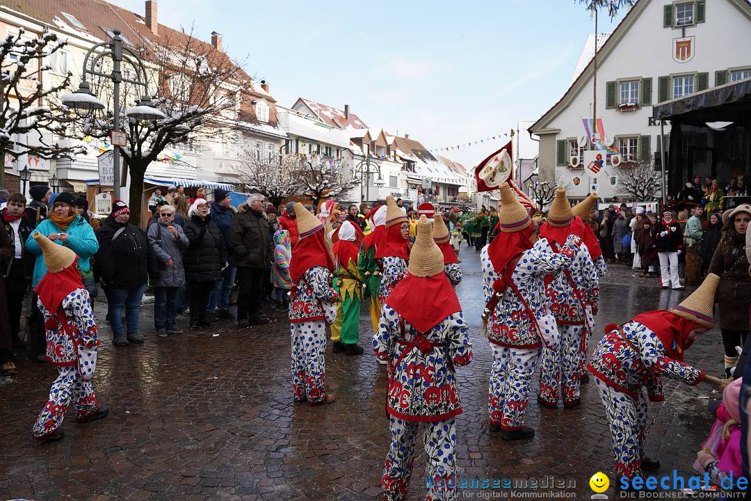 Narrenumzug: Langenargen am Bodensee, 22.01.2023