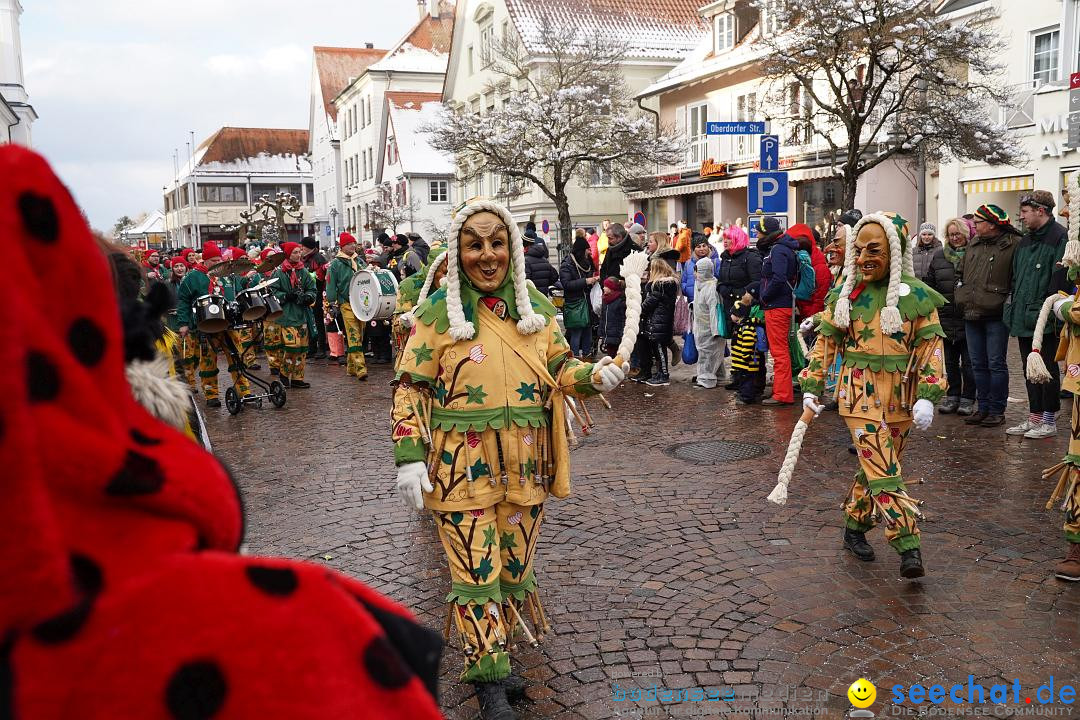 Narrenumzug: Langenargen am Bodensee, 22.01.2023