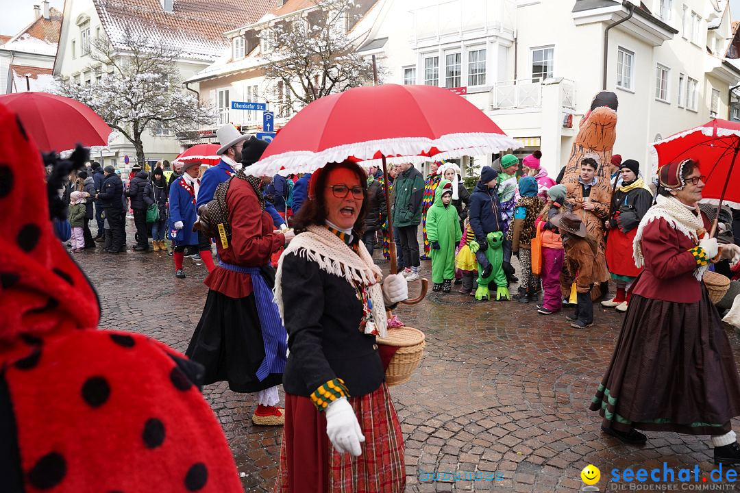 Narrenumzug: Langenargen am Bodensee, 22.01.2023