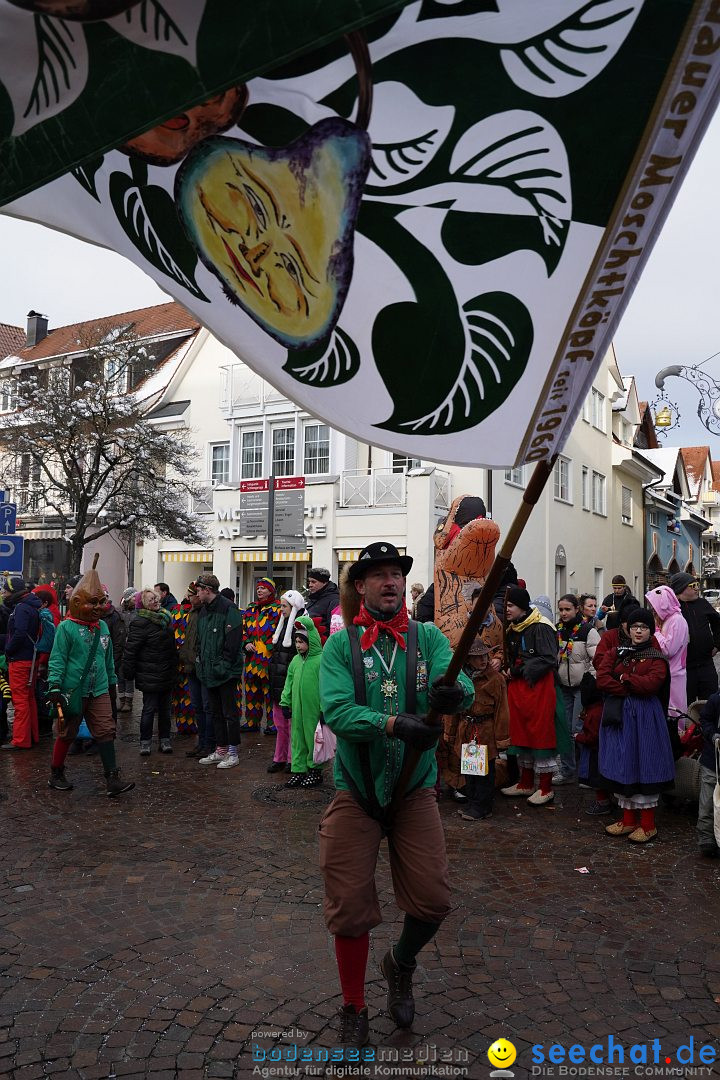 Narrenumzug: Langenargen am Bodensee, 22.01.2023