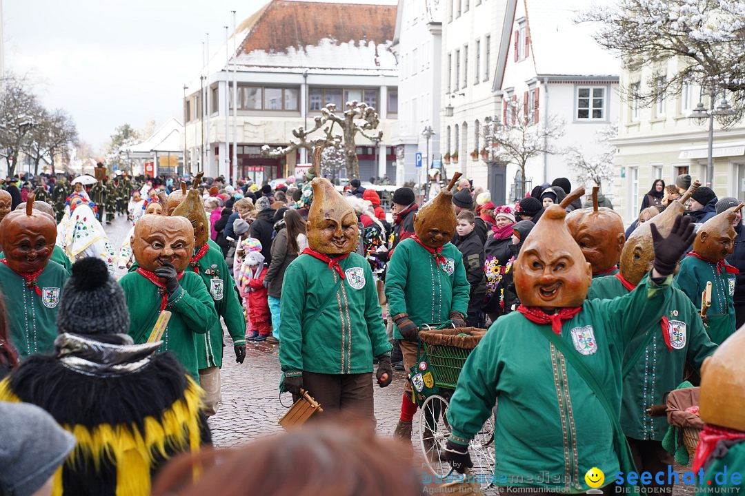 Narrenumzug: Langenargen am Bodensee, 22.01.2023