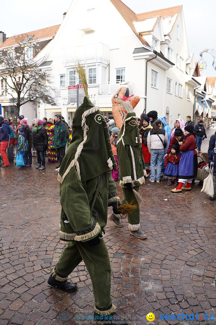 Narrenumzug: Langenargen am Bodensee, 22.01.2023