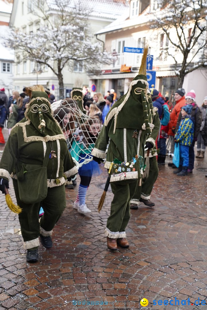 Narrenumzug: Langenargen am Bodensee, 22.01.2023