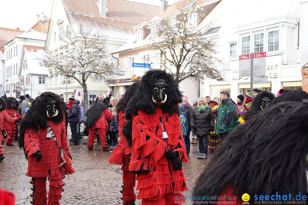 Narrenumzug: Langenargen am Bodensee, 22.01.2023