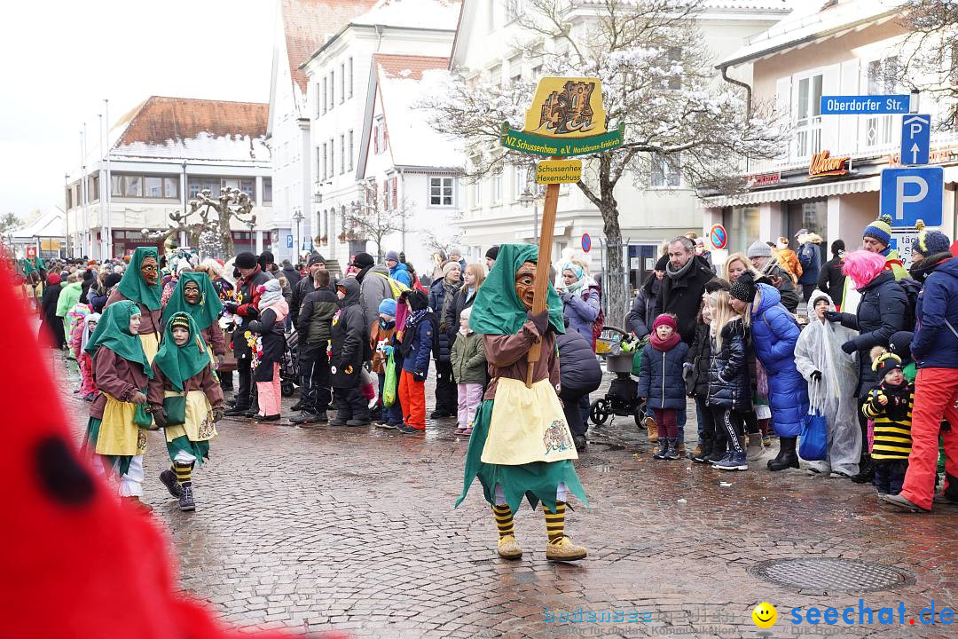 Narrenumzug: Langenargen am Bodensee, 22.01.2023