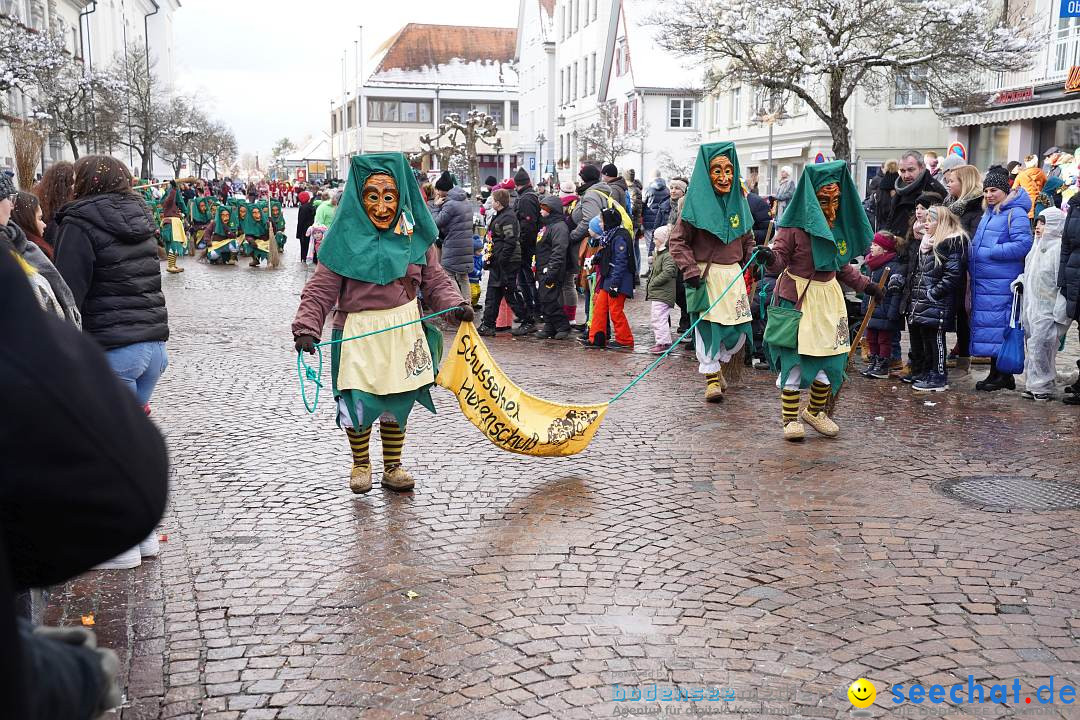 Narrenumzug: Langenargen am Bodensee, 22.01.2023