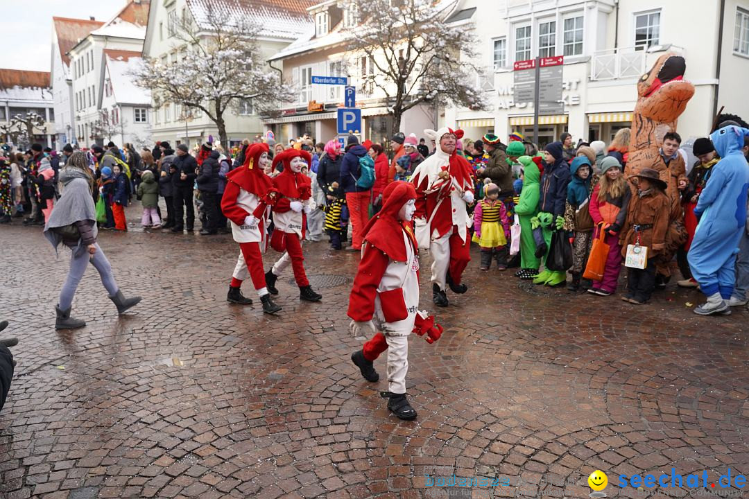 Narrenumzug: Langenargen am Bodensee, 22.01.2023