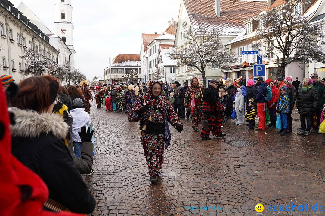 Narrenumzug: Langenargen am Bodensee, 22.01.2023