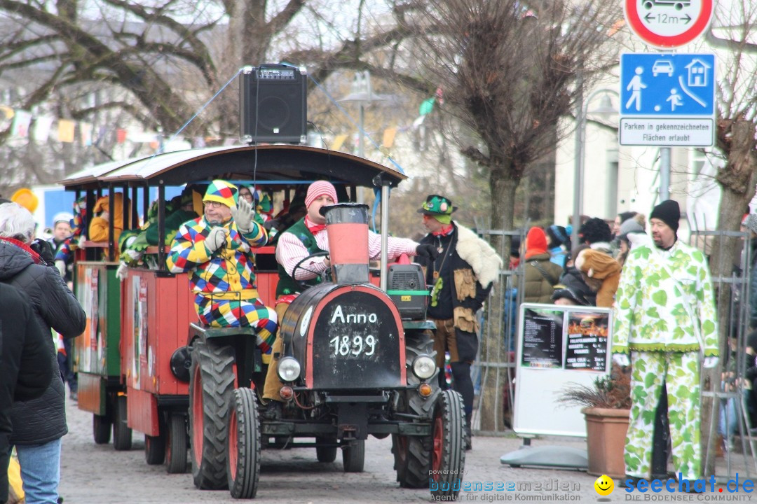 Fasnetsumzug - Weltverkehrsstadt: Tettnang am Bodensee, 29.01.2023