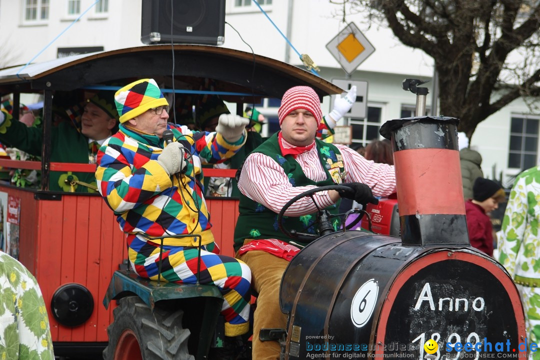 Fasnetsumzug - Weltverkehrsstadt: Tettnang am Bodensee, 29.01.2023