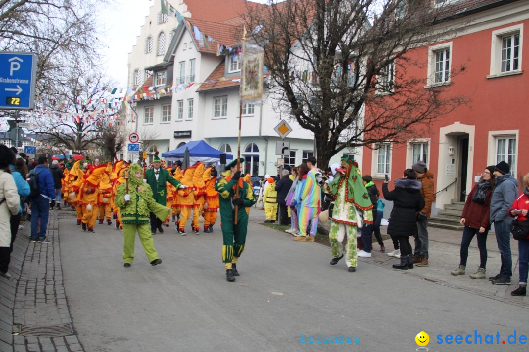 Fasnetsumzug - Weltverkehrsstadt: Tettnang am Bodensee, 29.01.2023