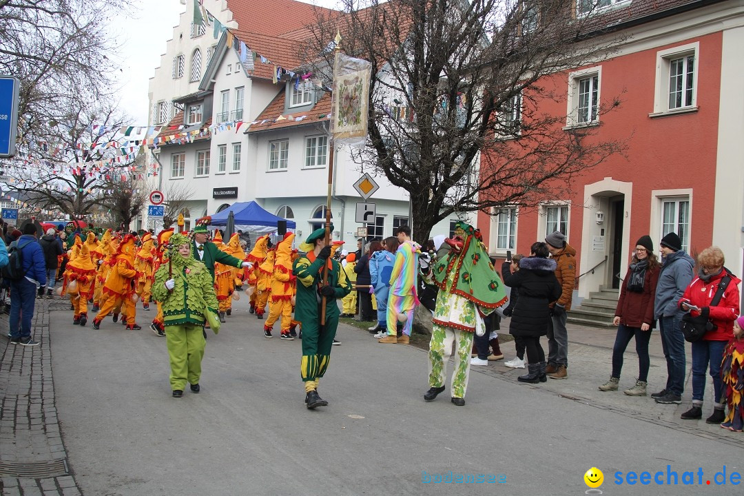 Fasnetsumzug - Weltverkehrsstadt: Tettnang am Bodensee, 29.01.2023