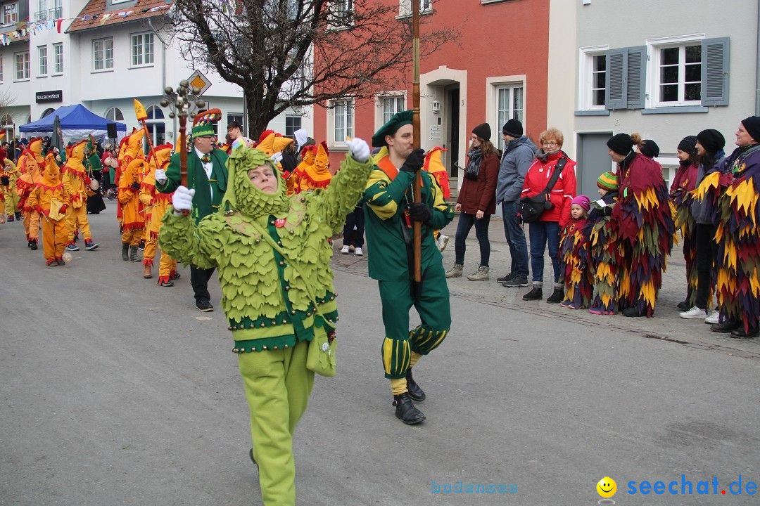 Fasnetsumzug - Weltverkehrsstadt: Tettnang am Bodensee, 29.01.2023