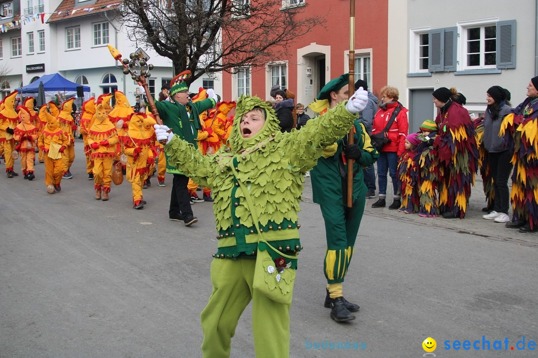 Fasnetsumzug - Weltverkehrsstadt: Tettnang am Bodensee, 29.01.2023