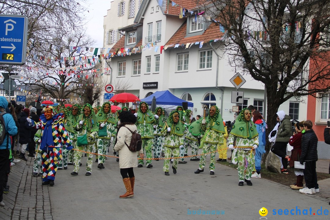 Fasnetsumzug - Weltverkehrsstadt: Tettnang am Bodensee, 29.01.2023