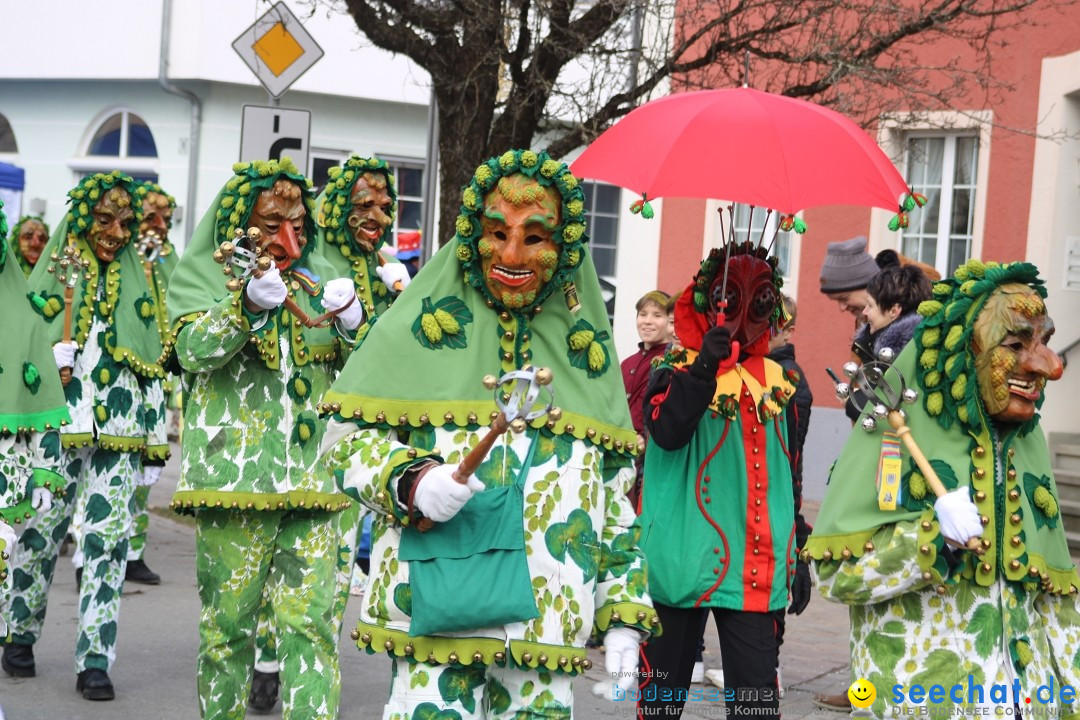 Fasnetsumzug - Weltverkehrsstadt: Tettnang am Bodensee, 29.01.2023