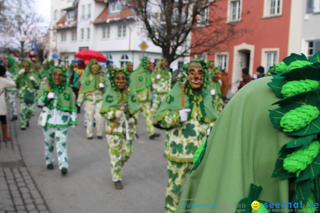 Fasnetsumzug - Weltverkehrsstadt: Tettnang am Bodensee, 29.01.2023