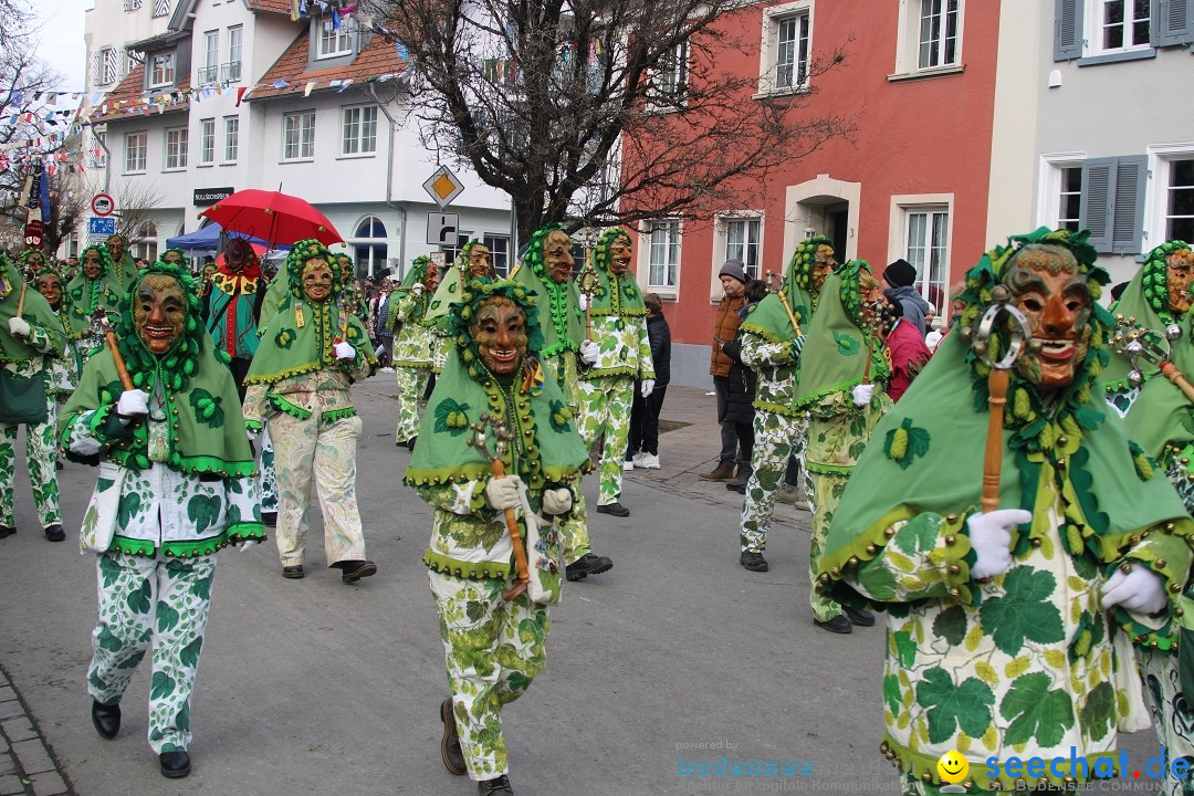 Fasnetsumzug - Weltverkehrsstadt: Tettnang am Bodensee, 29.01.2023