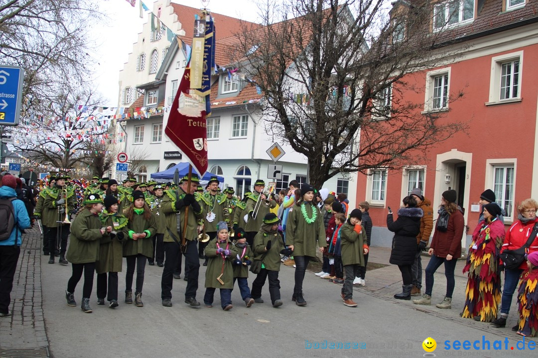 Fasnetsumzug - Weltverkehrsstadt: Tettnang am Bodensee, 29.01.2023