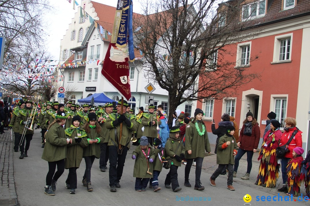 Fasnetsumzug - Weltverkehrsstadt: Tettnang am Bodensee, 29.01.2023