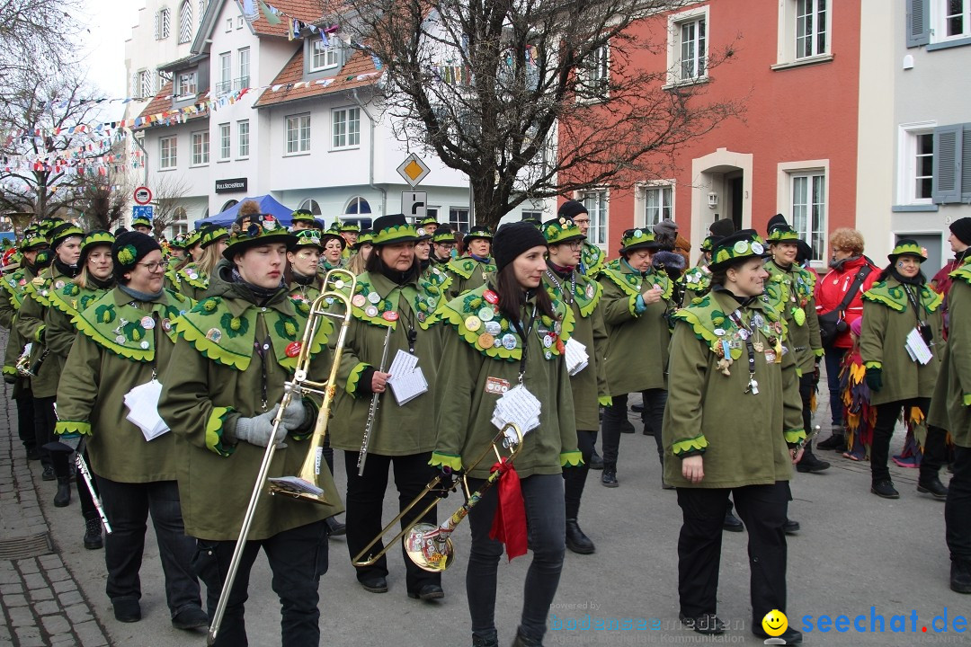 Fasnetsumzug - Weltverkehrsstadt: Tettnang am Bodensee, 29.01.2023