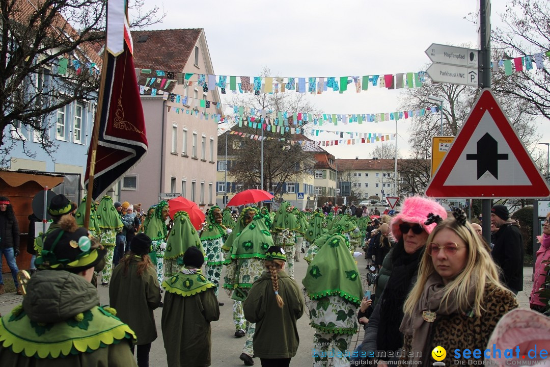 Fasnetsumzug - Weltverkehrsstadt: Tettnang am Bodensee, 29.01.2023