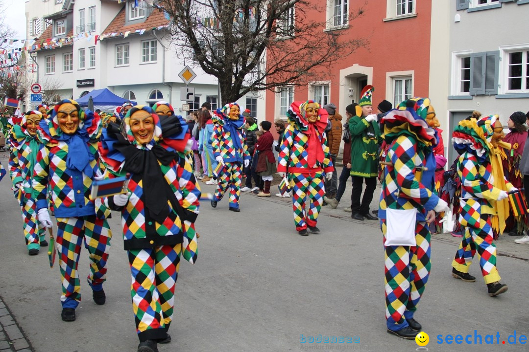 Fasnetsumzug - Weltverkehrsstadt: Tettnang am Bodensee, 29.01.2023