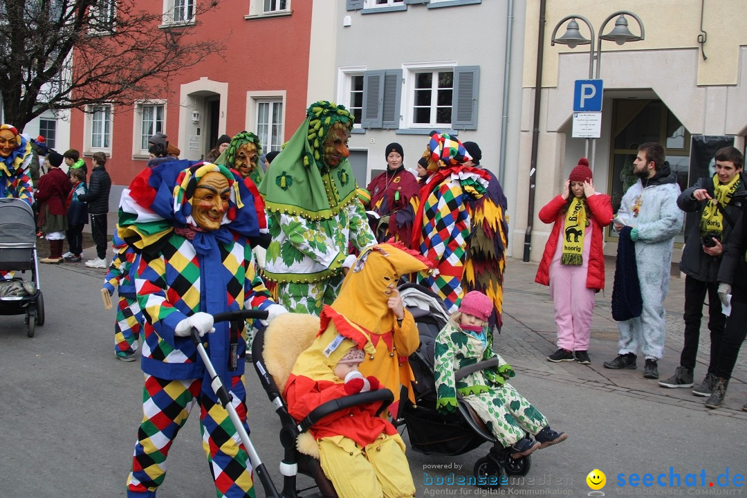 Fasnetsumzug - Weltverkehrsstadt: Tettnang am Bodensee, 29.01.2023