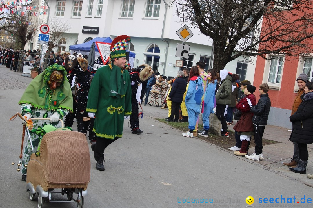 Fasnetsumzug - Weltverkehrsstadt: Tettnang am Bodensee, 29.01.2023