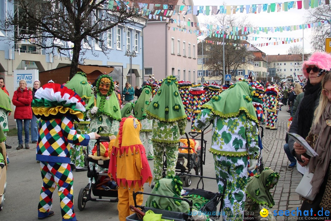 Fasnetsumzug - Weltverkehrsstadt: Tettnang am Bodensee, 29.01.2023