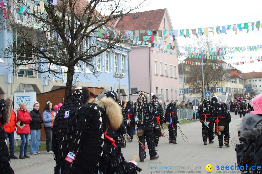 Fasnetsumzug - Weltverkehrsstadt: Tettnang am Bodensee, 29.01.2023