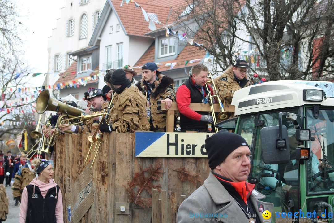 Fasnetsumzug - Weltverkehrsstadt: Tettnang am Bodensee, 29.01.2023