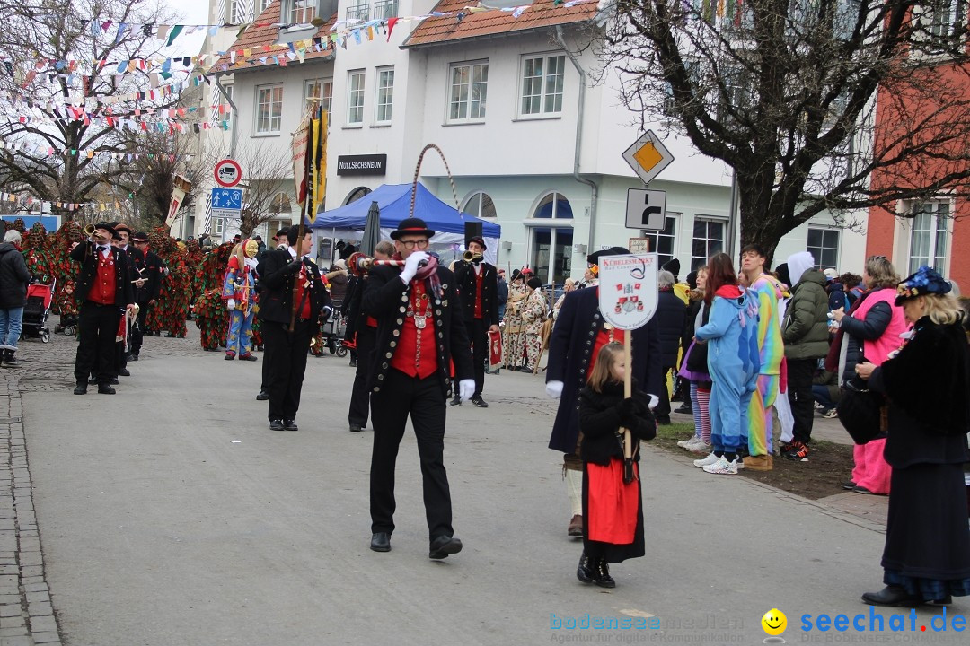 Fasnetsumzug - Weltverkehrsstadt: Tettnang am Bodensee, 29.01.2023