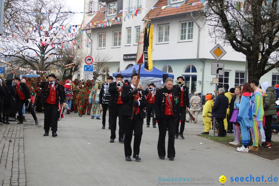 Fasnetsumzug - Weltverkehrsstadt: Tettnang am Bodensee, 29.01.2023