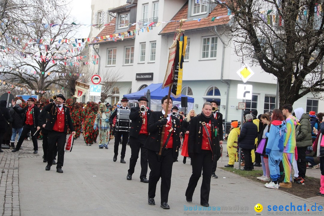 Fasnetsumzug - Weltverkehrsstadt: Tettnang am Bodensee, 29.01.2023