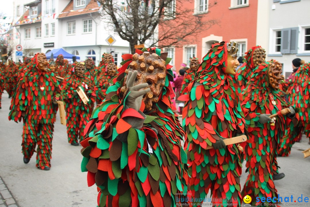 Fasnetsumzug - Weltverkehrsstadt: Tettnang am Bodensee, 29.01.2023