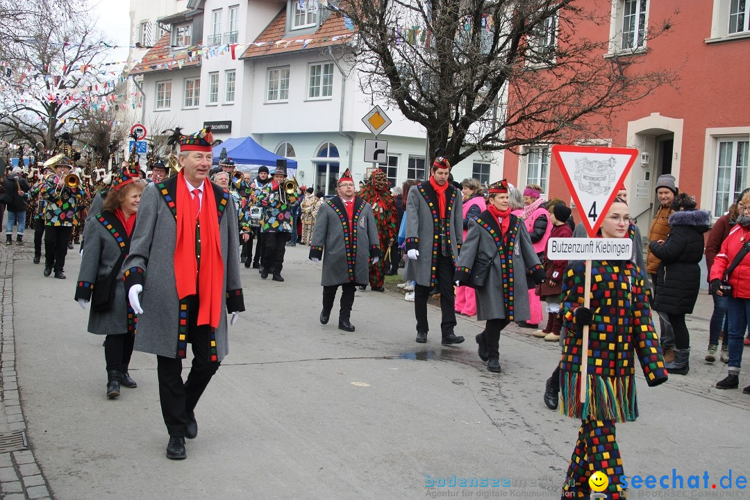 Fasnetsumzug - Weltverkehrsstadt: Tettnang am Bodensee, 29.01.2023