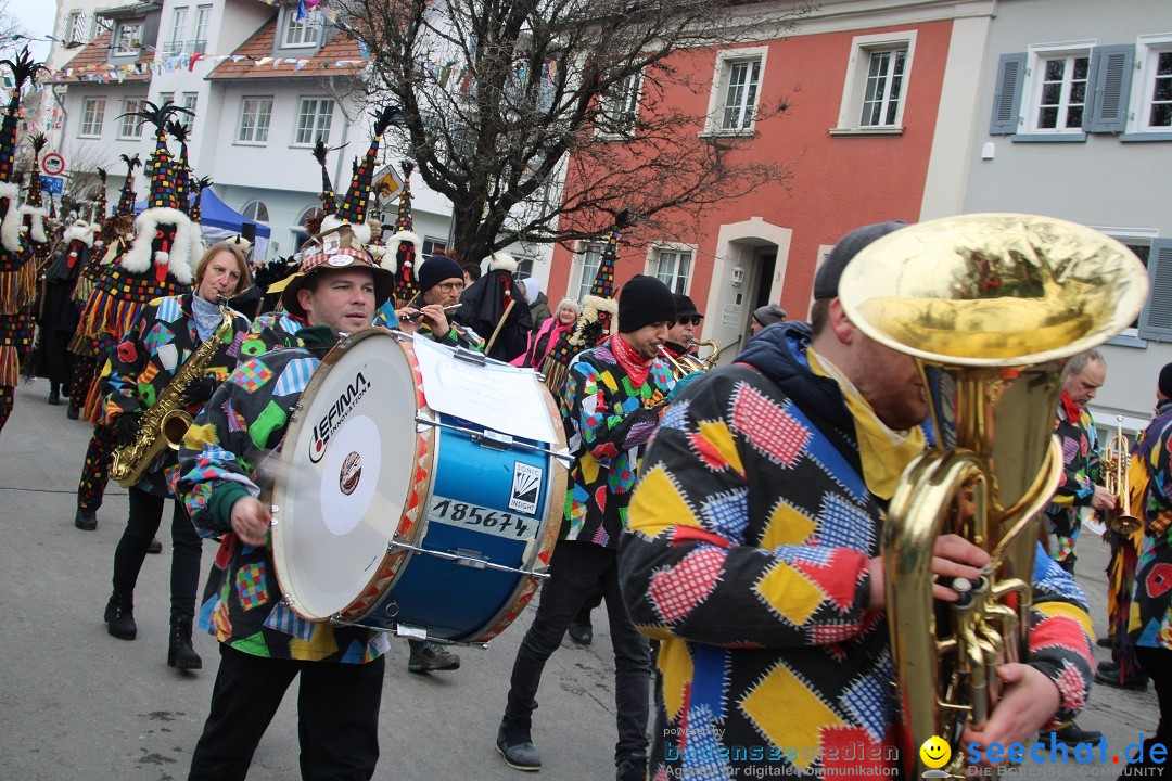 Fasnetsumzug - Weltverkehrsstadt: Tettnang am Bodensee, 29.01.2023