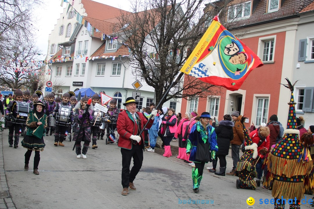 Fasnetsumzug - Weltverkehrsstadt: Tettnang am Bodensee, 29.01.2023