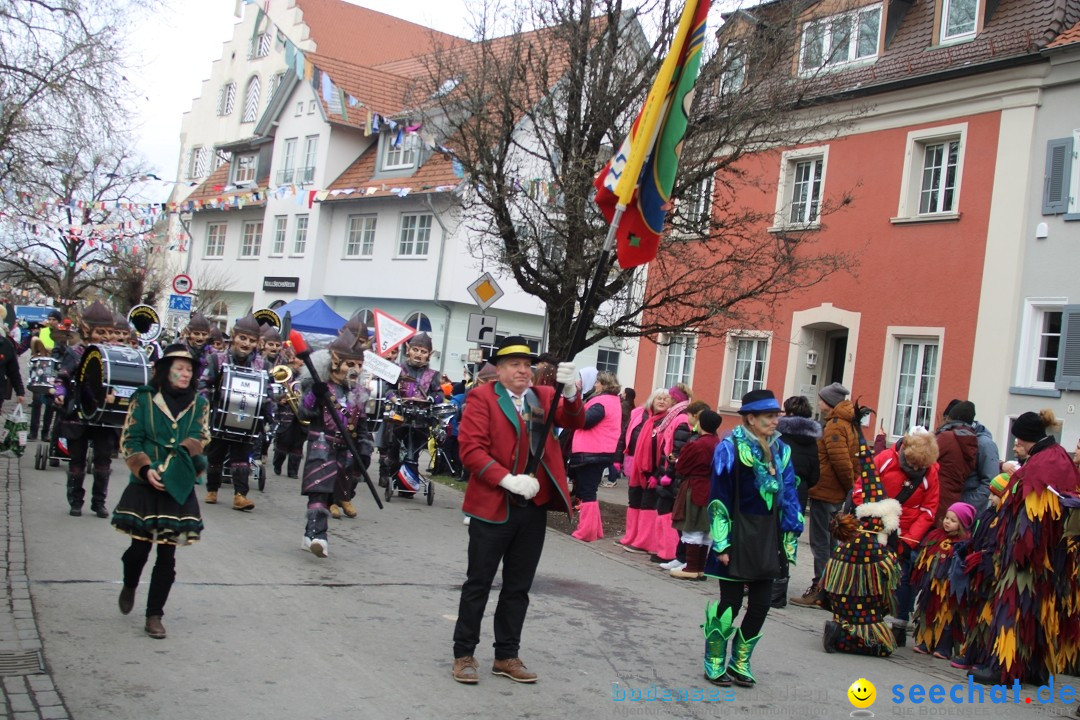 Fasnetsumzug - Weltverkehrsstadt: Tettnang am Bodensee, 29.01.2023