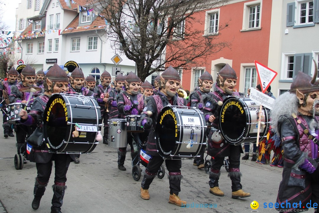 Fasnetsumzug - Weltverkehrsstadt: Tettnang am Bodensee, 29.01.2023